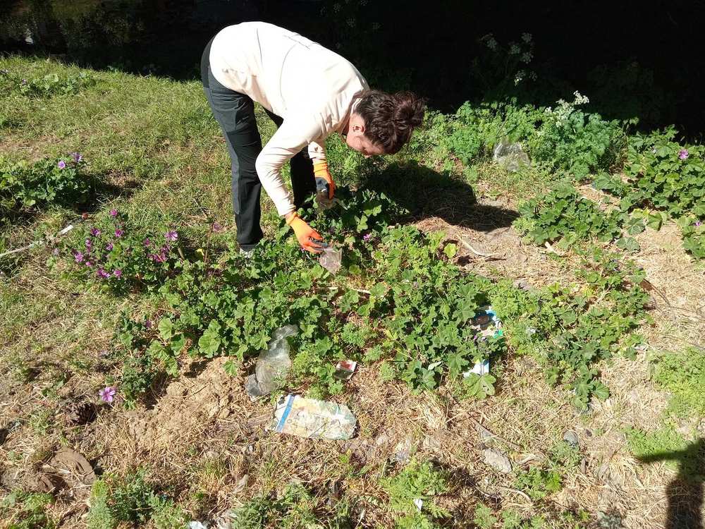 MappA macroplásticos campo