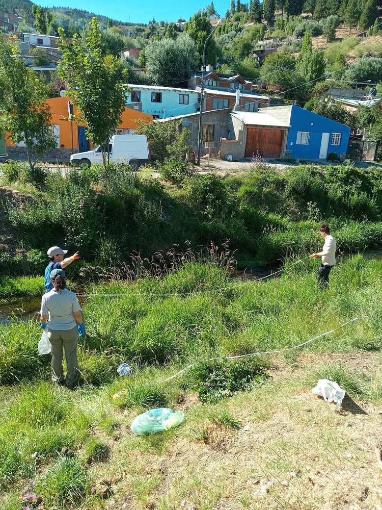 MappA macroplásticos campo